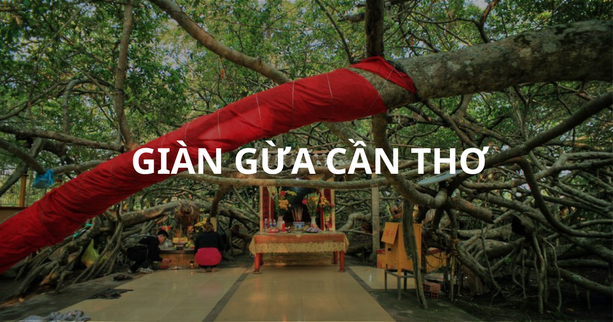 Giàn Gừa Cần Thơ – Kinh Nghiệm Tham Quan Chi Tiết 2026