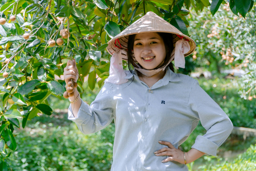 THAM QUAN VƯỜN TRÁI CÂY THEO MÙA TẠI MỸ KHÁNH
