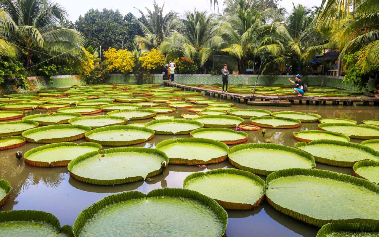 những địa điểm du lịch ở đồng tháp