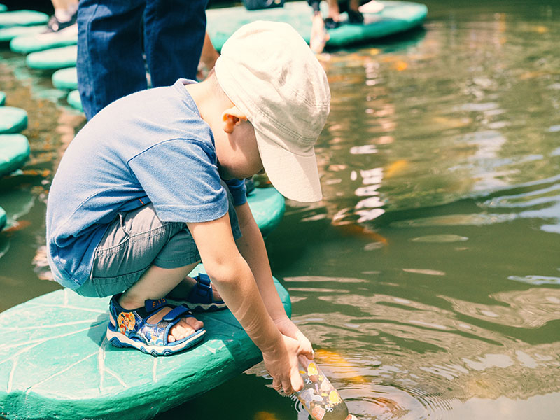 BOTTLE FEEDING FISH EXPERIENCE