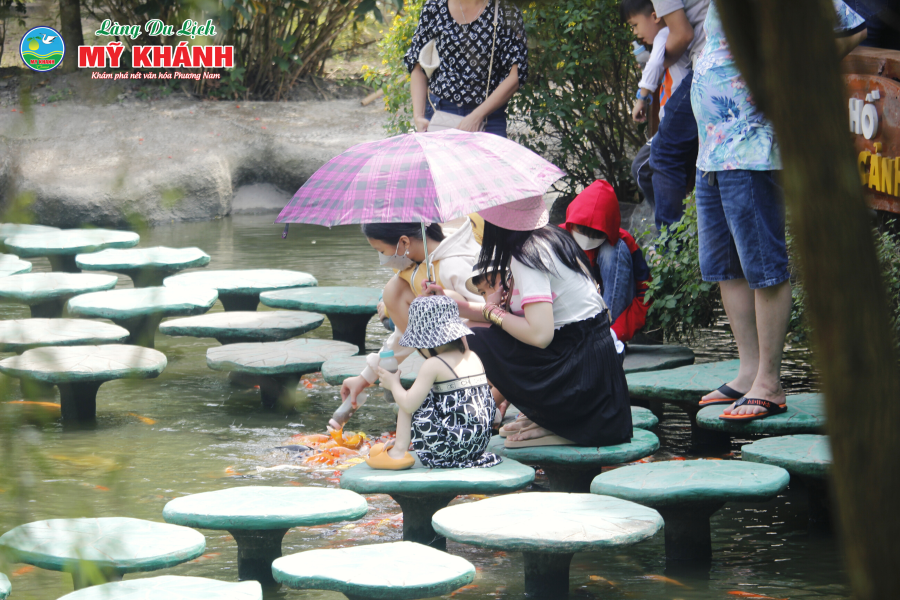 BOTTLE FEEDING FISH EXPERIENCE
