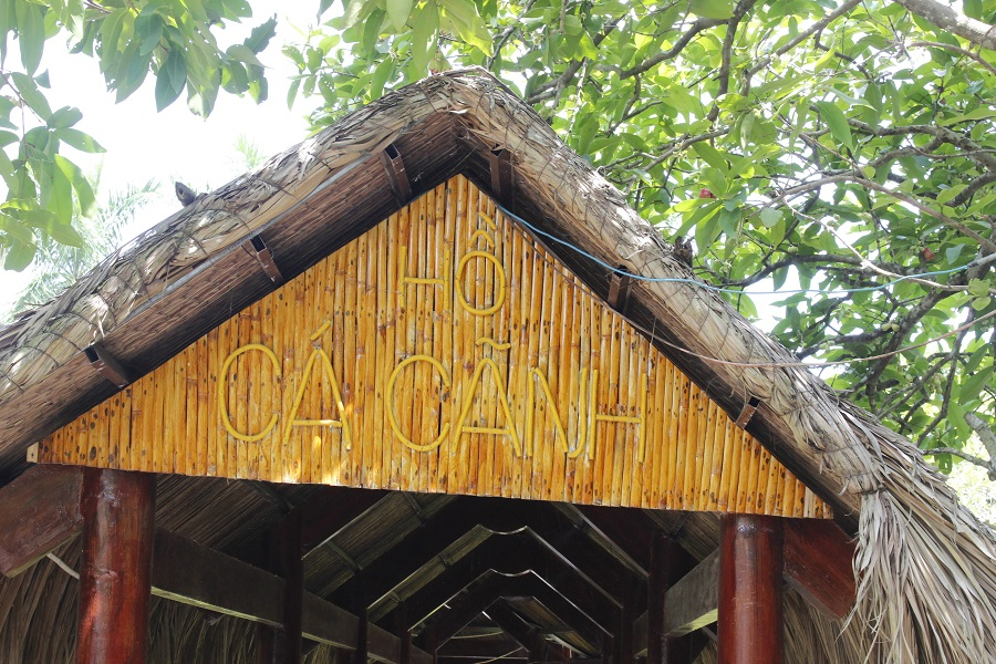 BOTTLE FEEDING FISH EXPERIENCE