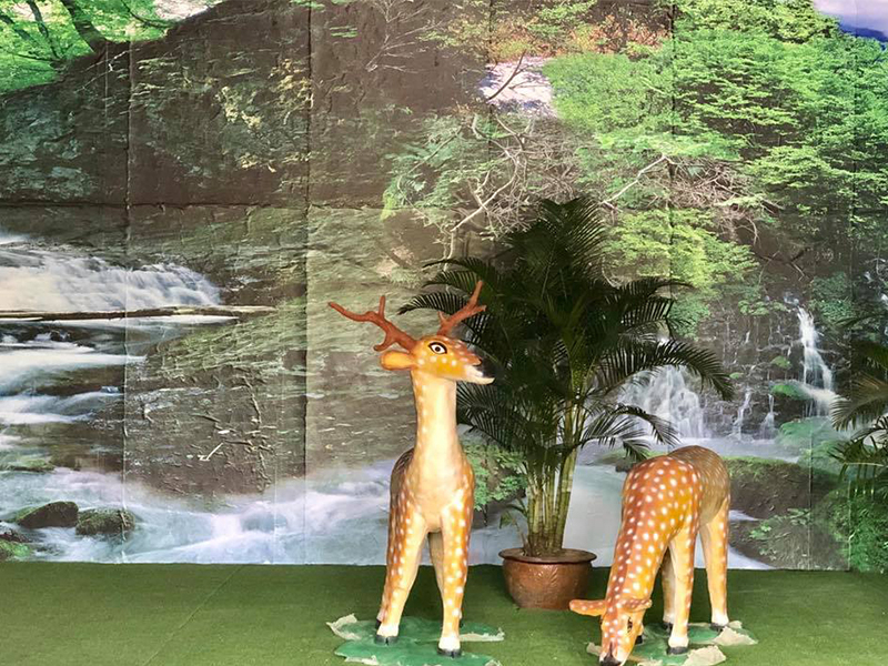 DISCOVER THE MYSTERIOUS RIVER