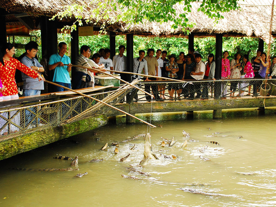 CROCODILE FISHING EXPERIENCE