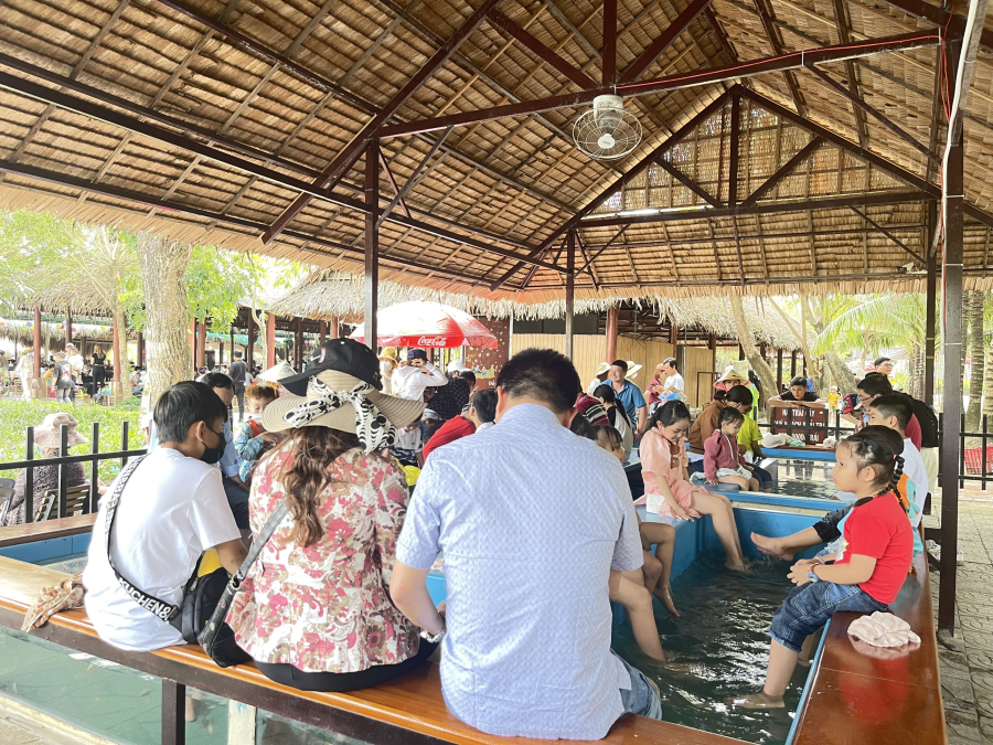 RELAXING FISH MASSAGE