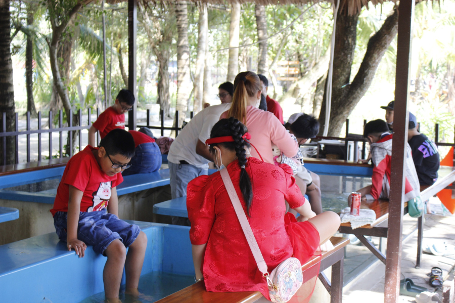 RELAXING FISH MASSAGE