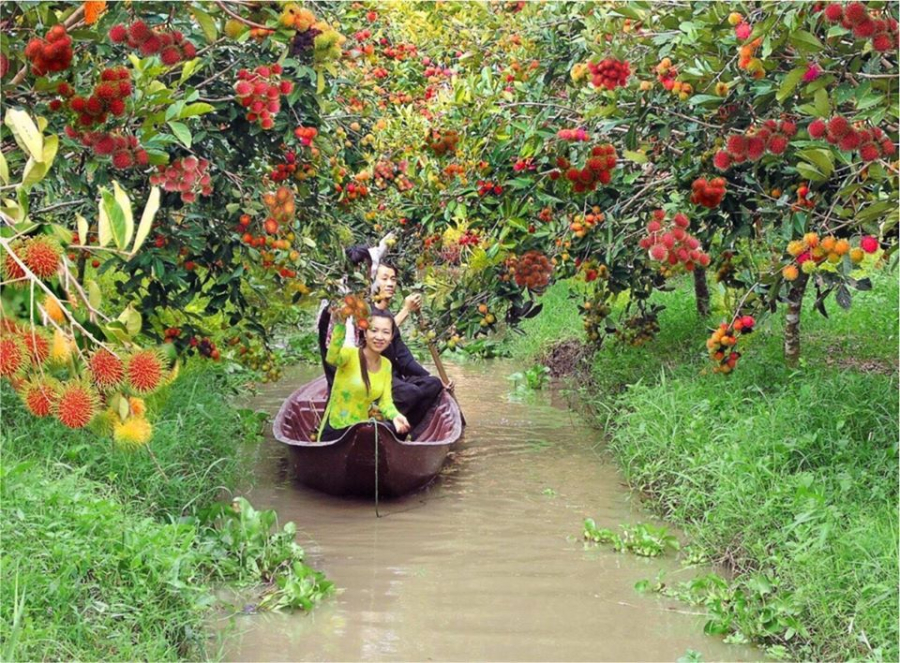 TOUR CẦN THƠ 01 NGÀY KHÁM PHÁ MIỆT VƯỜN SÔNG NƯỚC MIỀN TÂY (MS008)