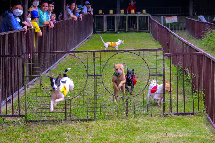 Tour 2 Ngày 1 Đêm  Vui chơi xoả stress - Gắn kết cùng team