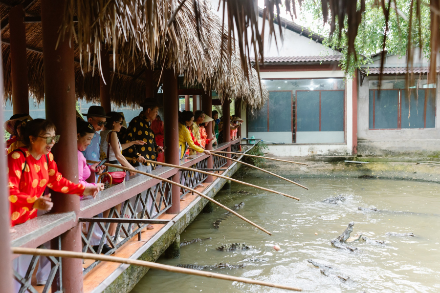 Tour 2 Ngày 1 Đêm  Vui chơi xoả stress - Gắn kết cùng team